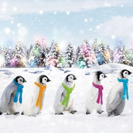 Christmas card sales supporting Meningitis Now.